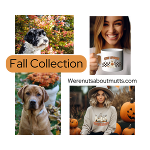 Fall collection