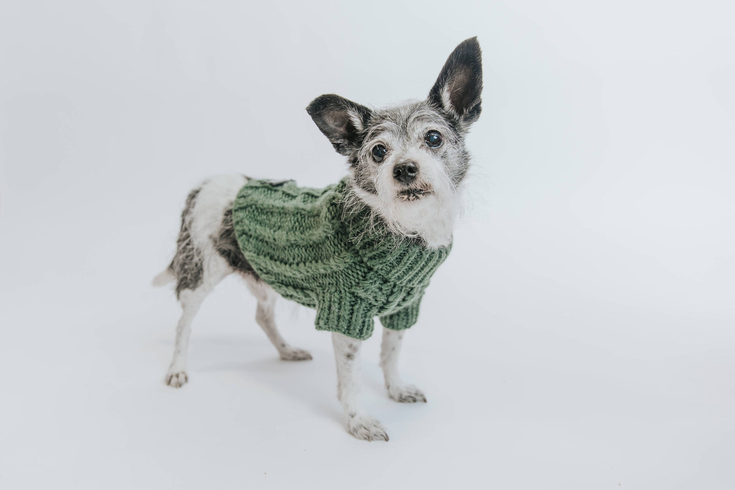 Dog Cable Knit Sweater - Dark Green