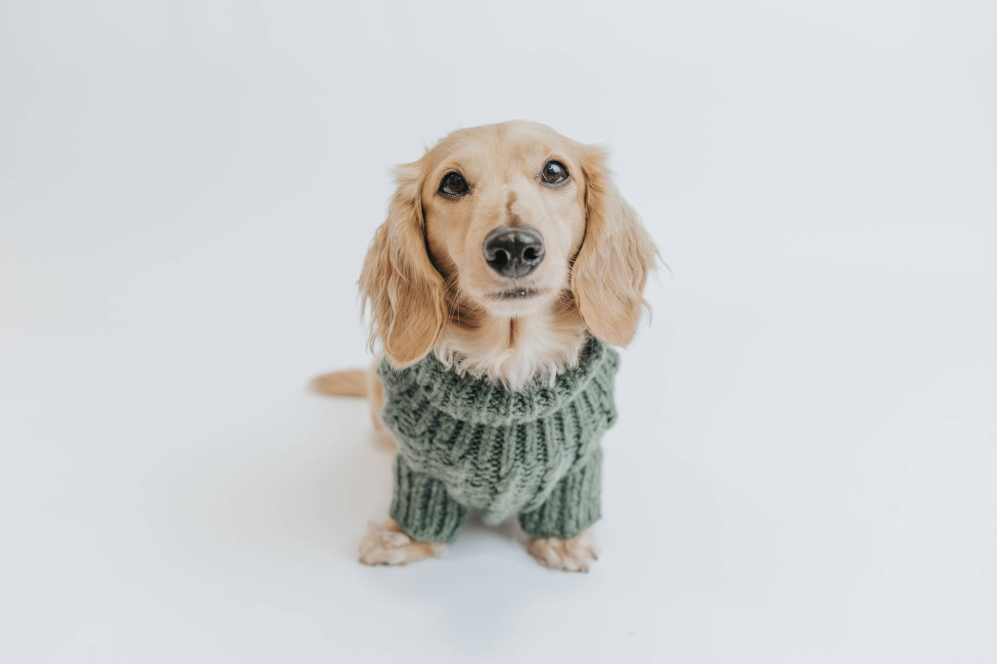 Dog Cable Knit Sweater - Dark Green