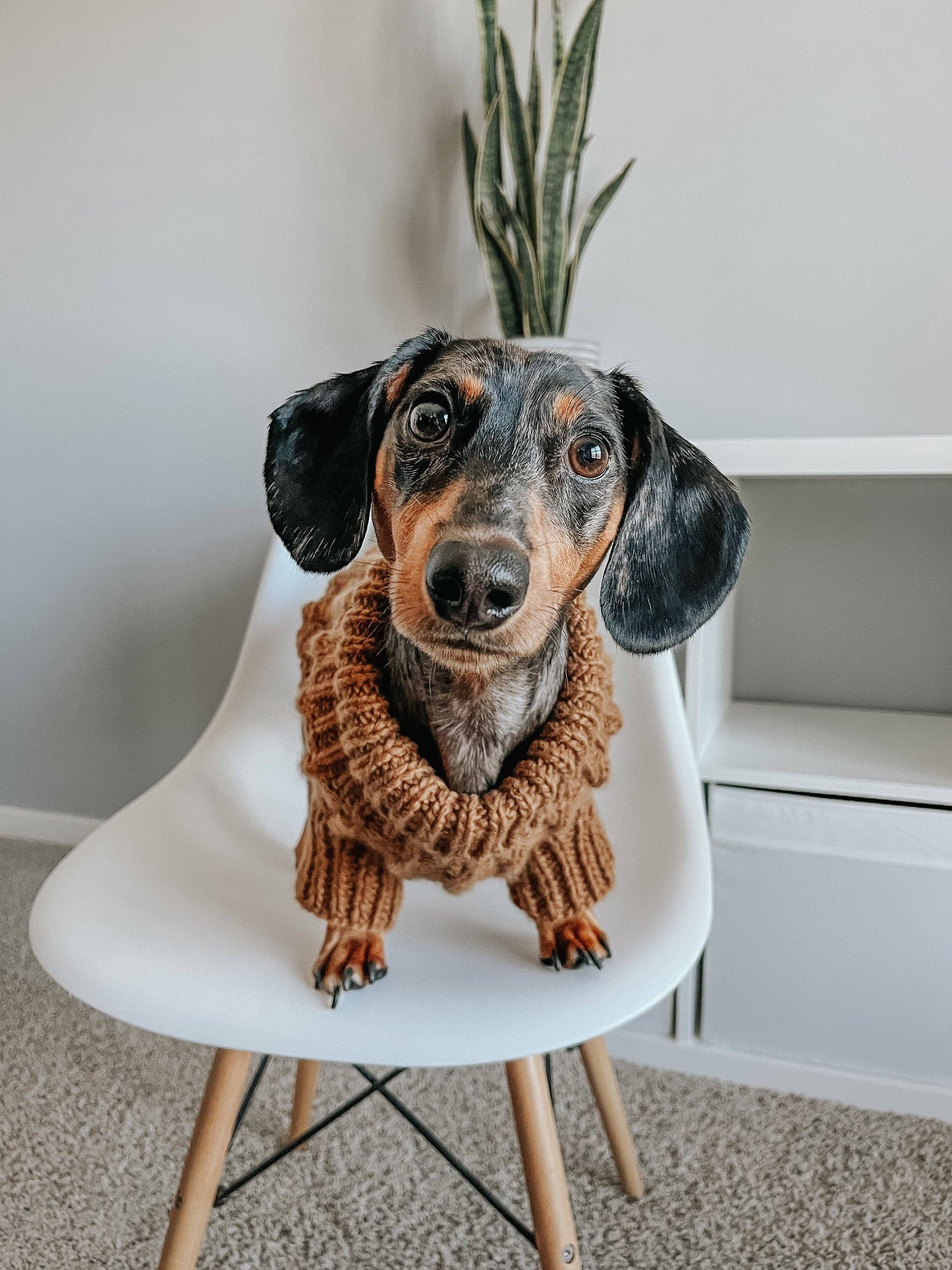 Dog Cable Knit Sweater - Brown