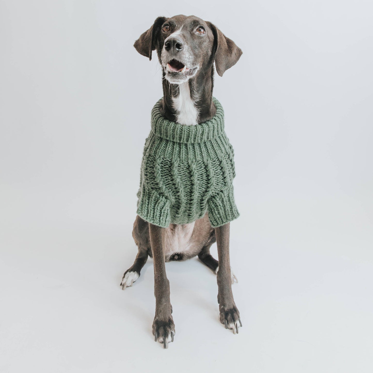 Dog Cable Knit Sweater - Dark Green