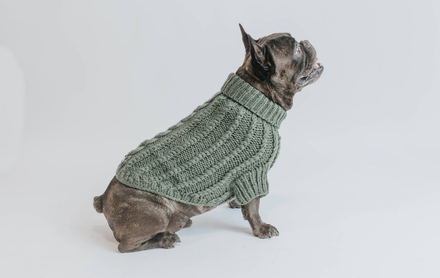 Dog Cable Knit Sweater - Dark Green