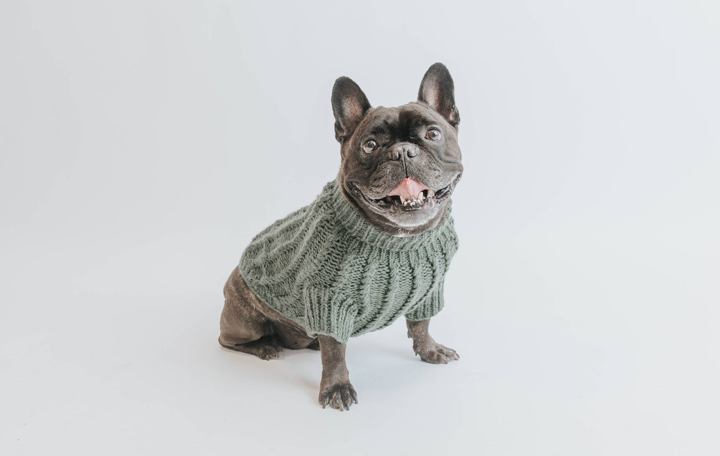 Dog Cable Knit Sweater - Dark Green