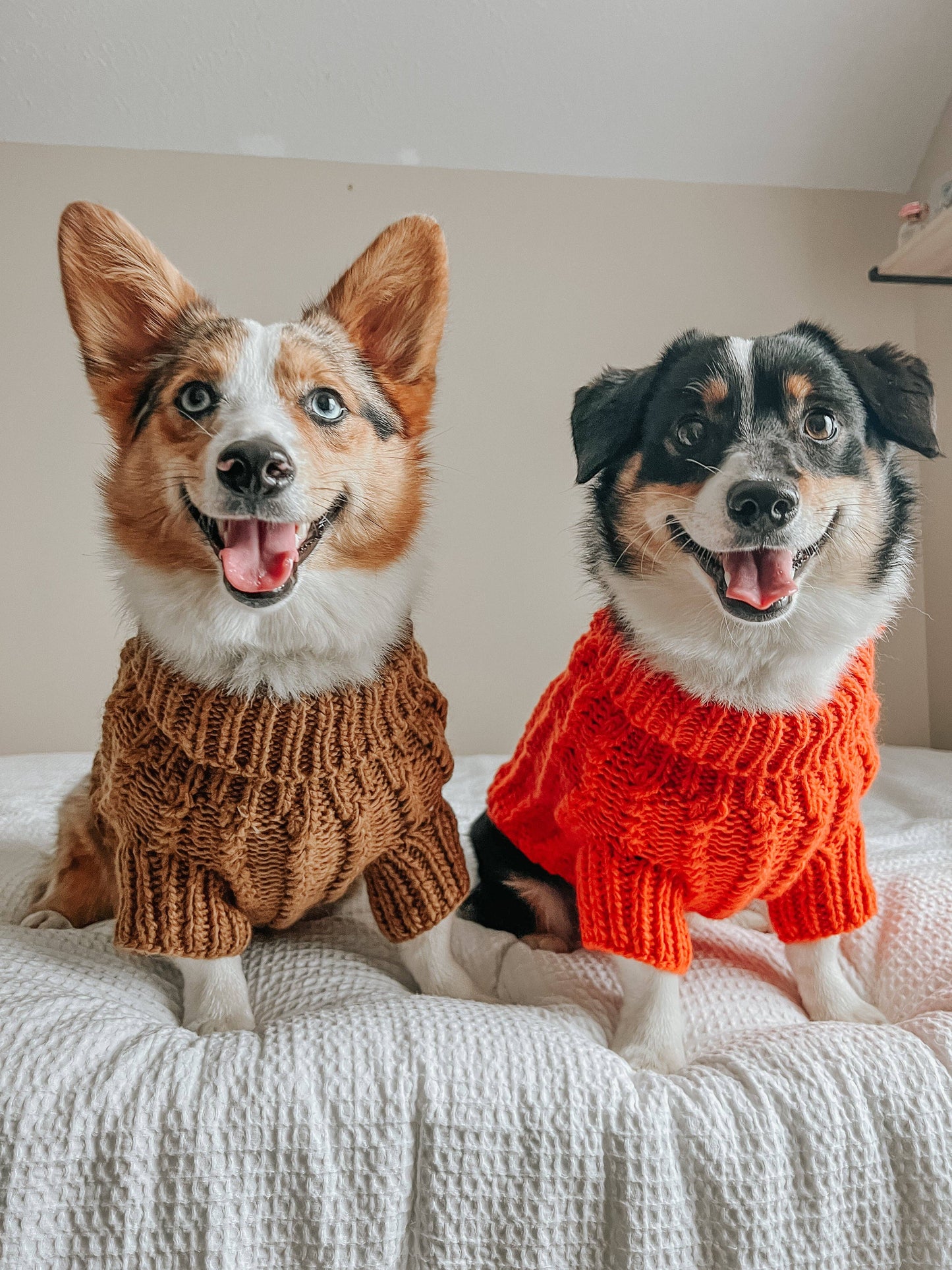 Dog Cable Knit Sweater - Orange