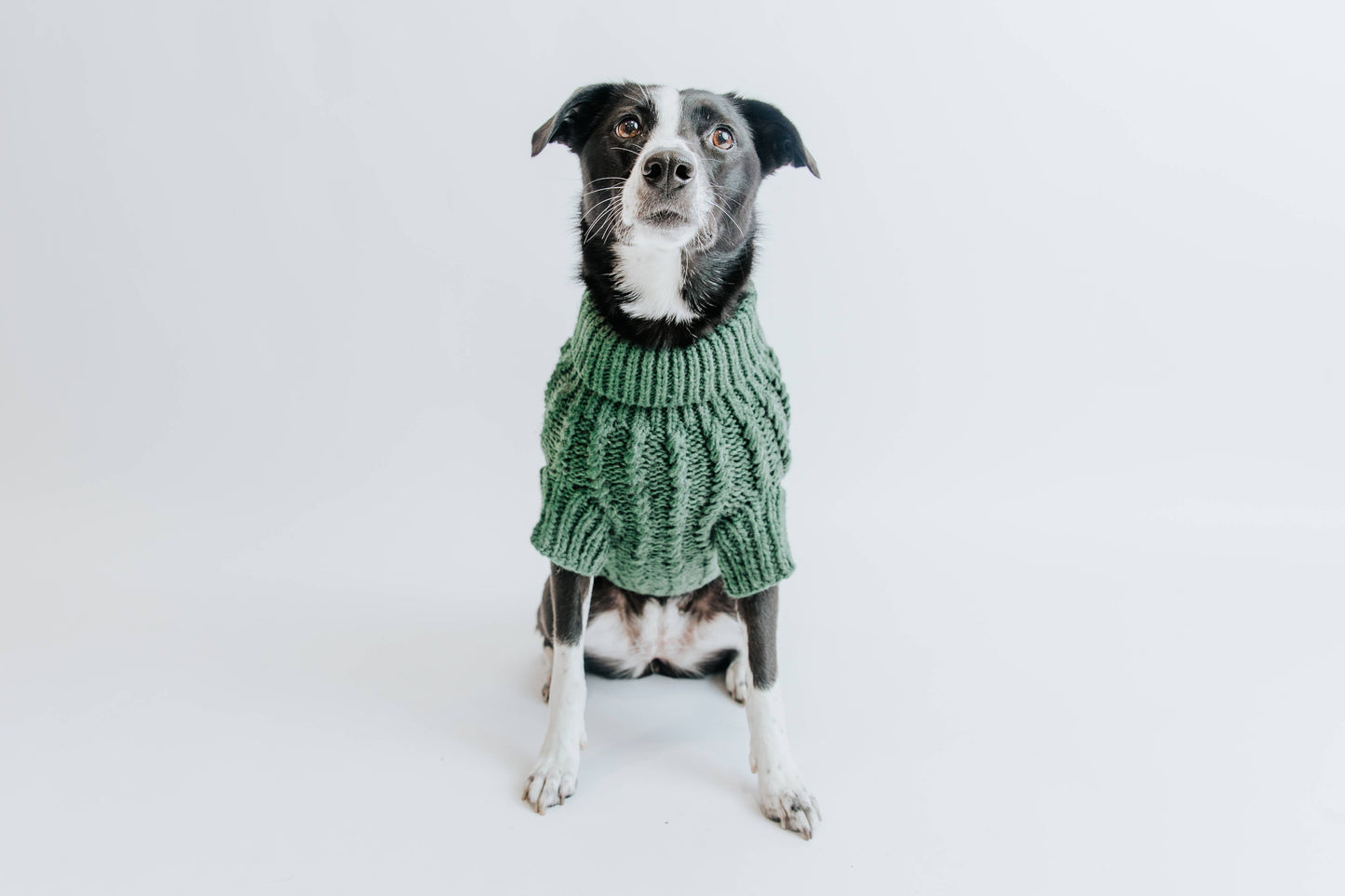 Dog Cable Knit Sweater - Dark Green