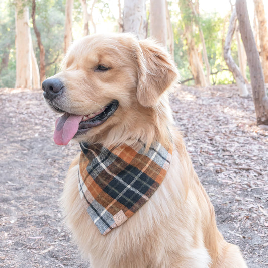 Warm Walnut Flannel Bandana