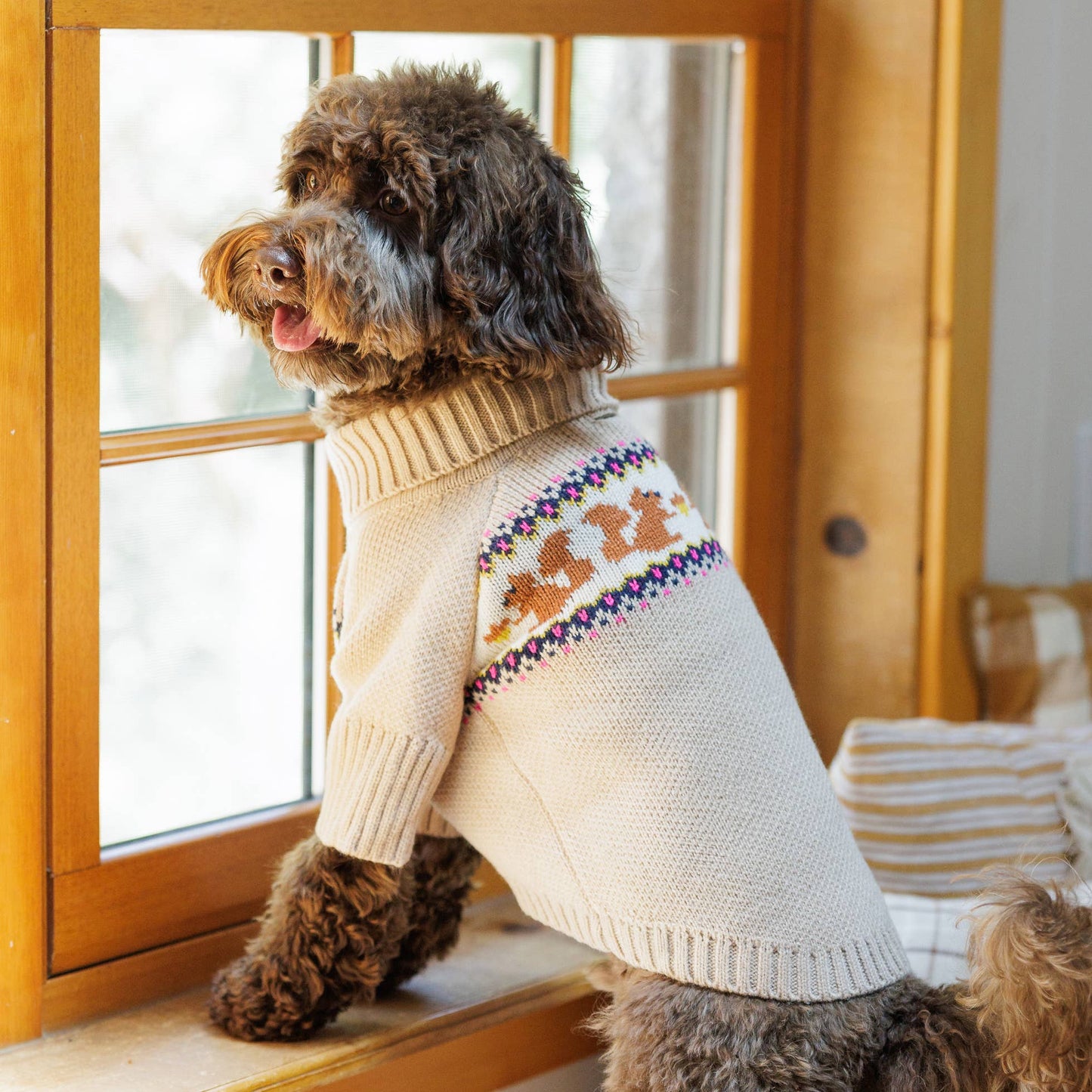 Squirrel Cable Knit Dog Sweater