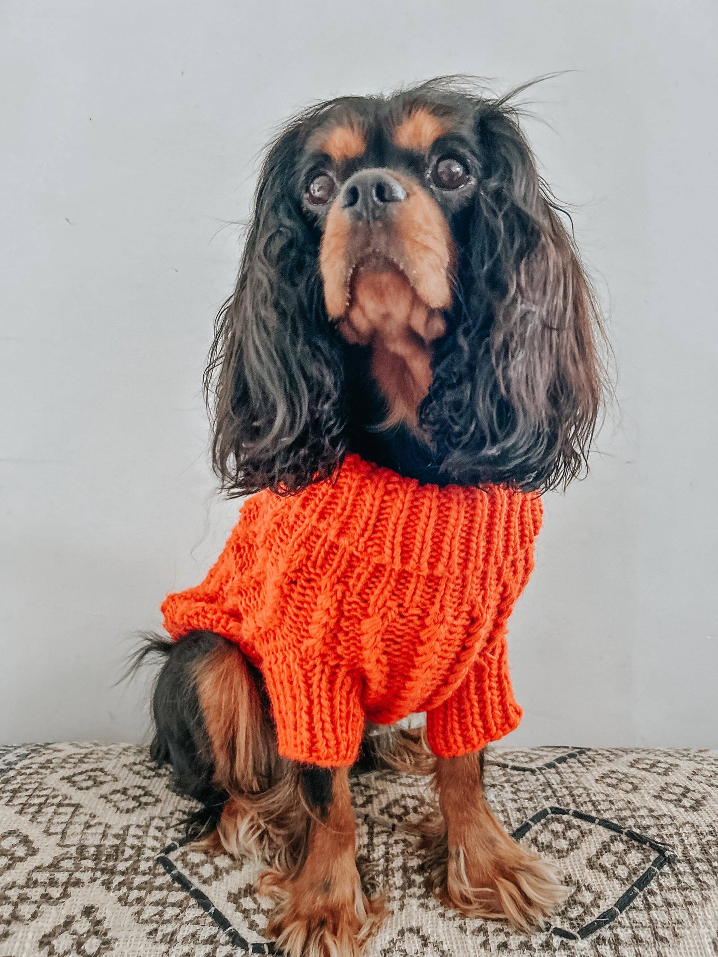 Dog Cable Knit Sweater - Orange